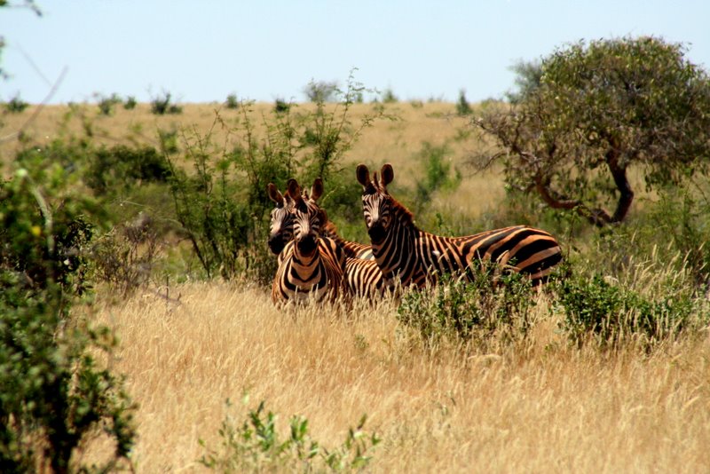 kenya_2007_0522